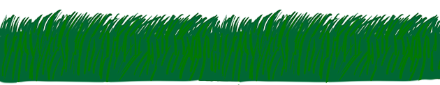 green-grass