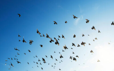 Tentar satisfazer padrões é matar a si mesmo